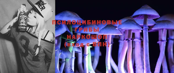 jwh Белокуриха