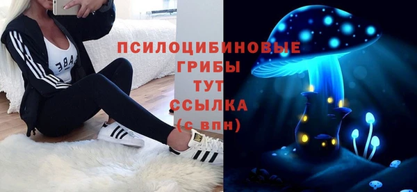 jwh Белокуриха