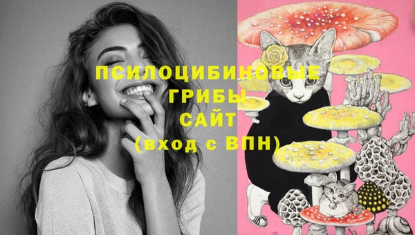 COCAINE Беломорск