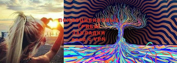 jwh Белокуриха