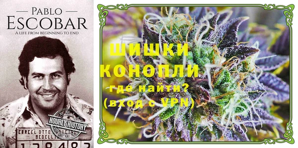 ГАЛЛЮЦИНОГЕННЫЕ ГРИБЫ Белоозёрский