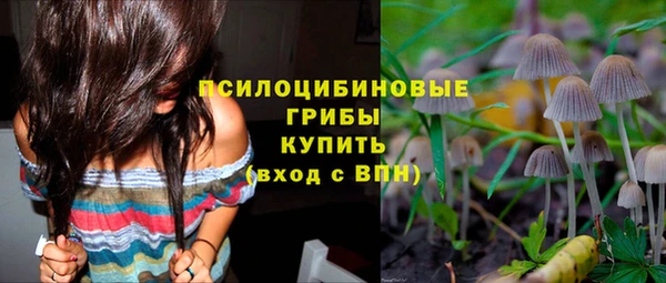ГАЛЛЮЦИНОГЕННЫЕ ГРИБЫ Белоозёрский