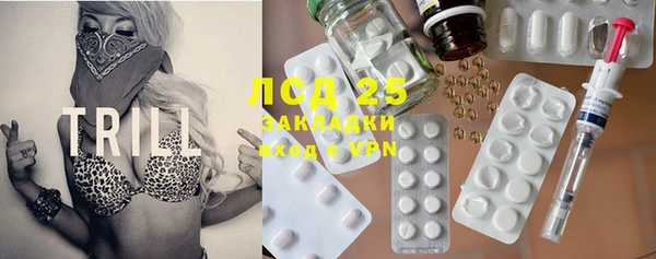индика Балабаново